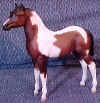 PintoFoal.JPG (34493 bytes)