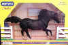 643blackstallion.JPG (24012 bytes)