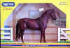 644darkredthoroughbred.JPG (24132 bytes)