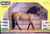648buckskinlusitano.JPG (23371 bytes)