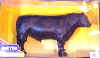 Angus1.JPG (17356 bytes)