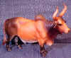 Brahma.JPG (28573 bytes)