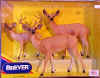 Deer1.JPG (23559 bytes)