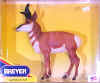 Pronghorn99-1.JPG (21269 bytes)