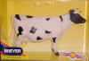 cow1.JPG (41074 bytes)